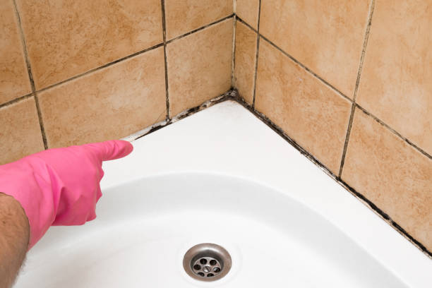 Best Residential Mold Removal  in Muenster, TX